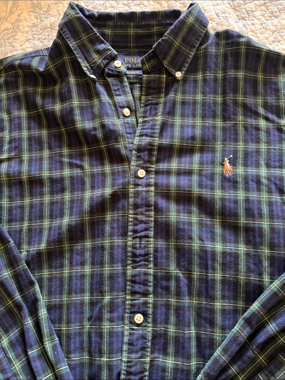 Polo by Ralph Lauren Green & Navy Plaid Button-Down Shirt